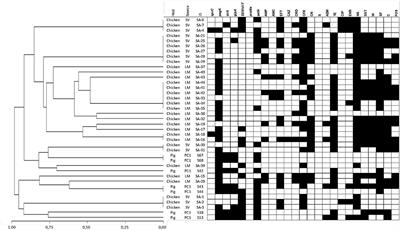 Virulence and antimicrobial resistance factors in Salmonella enterica serotypes isolated from pigs and chickens in central Chile